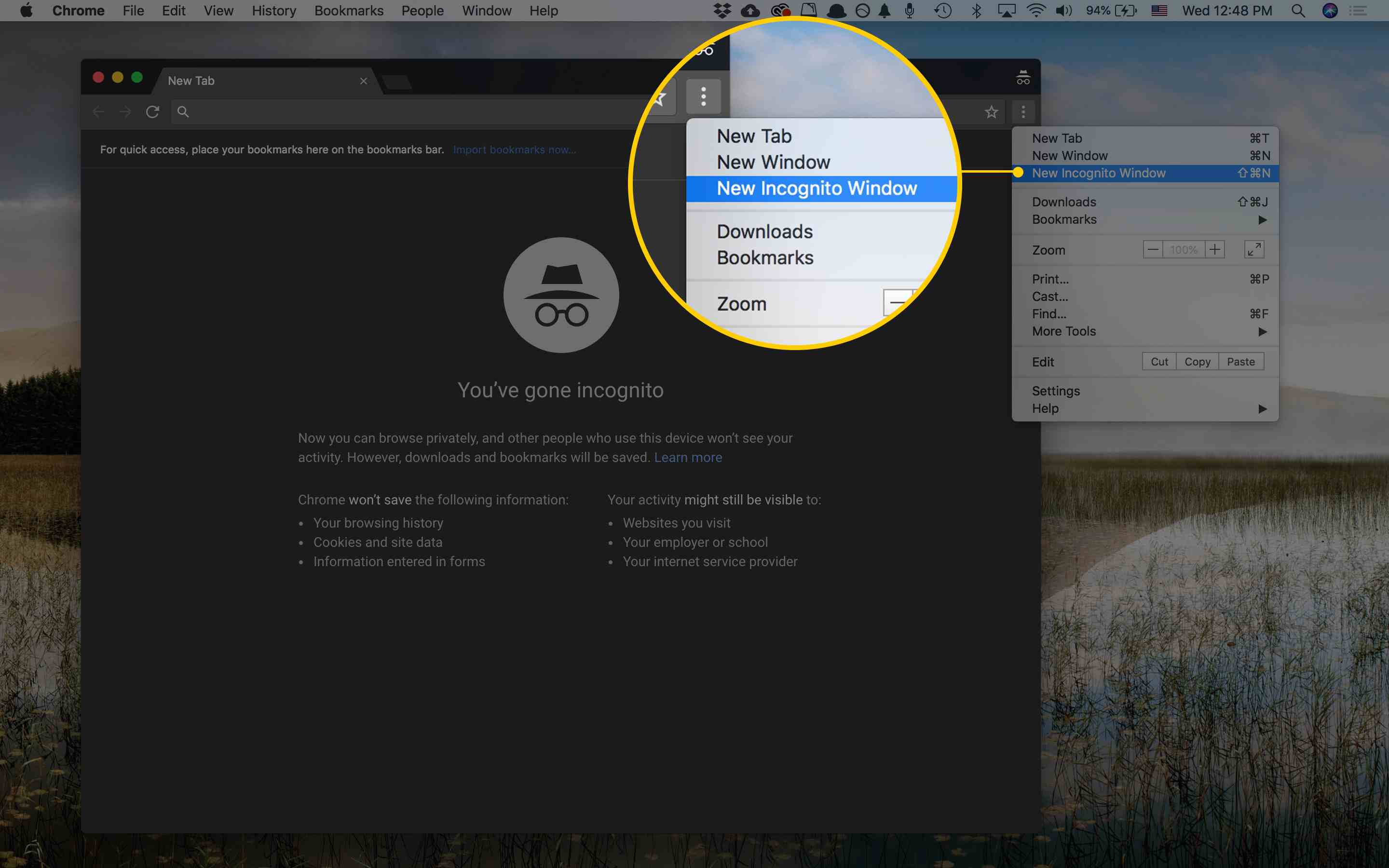 extensions for incognito mac chrome